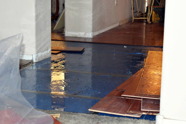 Professional Water Damage Restoration technician working in Windham, OH